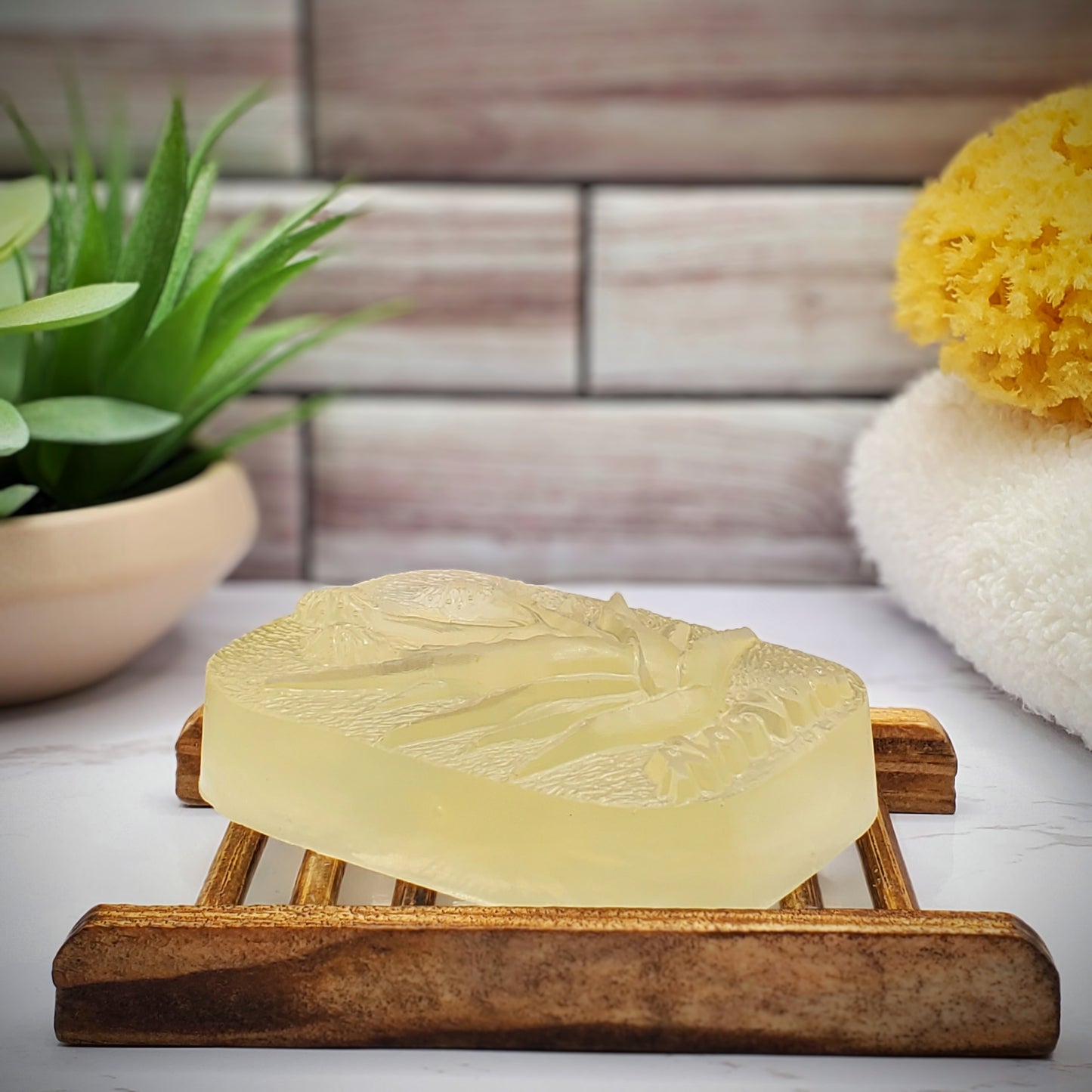 Aloe Sugar Soap Bar