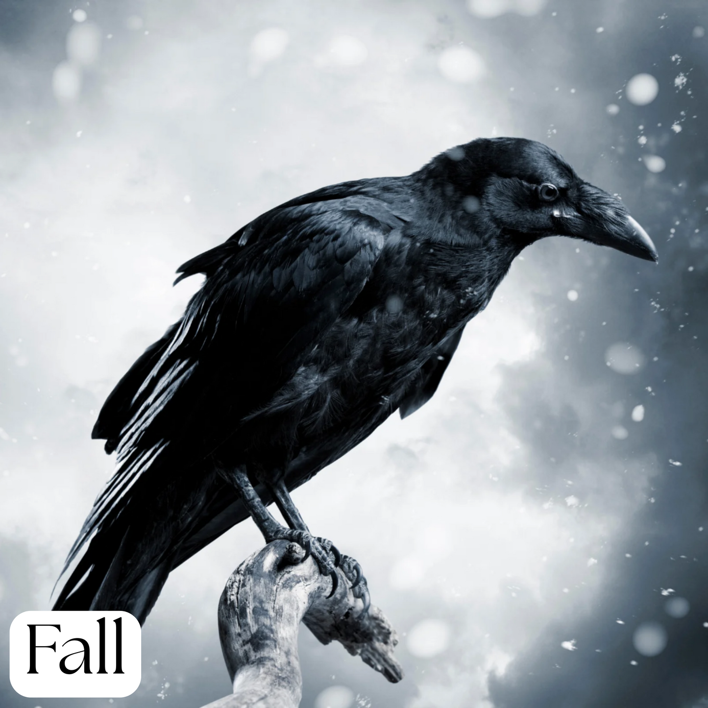 Raven Soap Bar