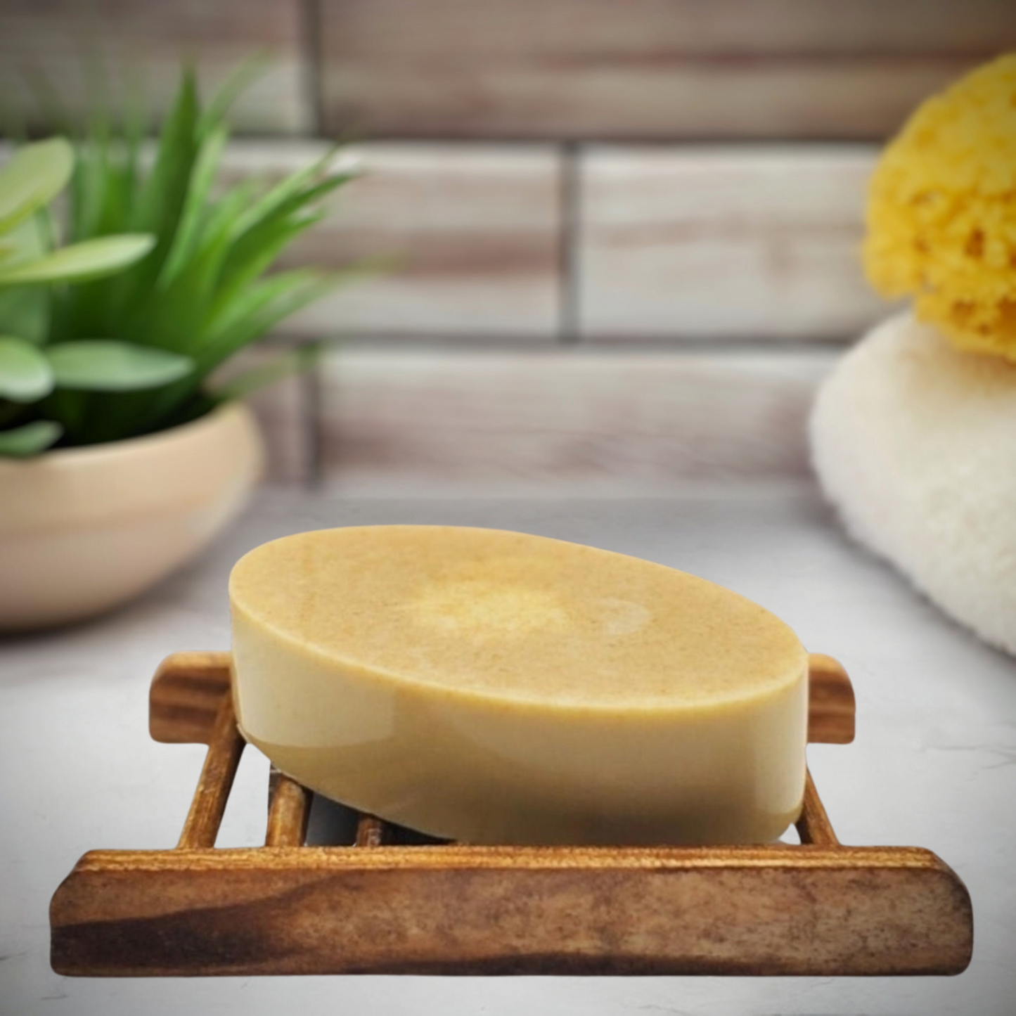 Turtle Mocha Soap Bar