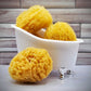 Natural Dead Sea Sponge