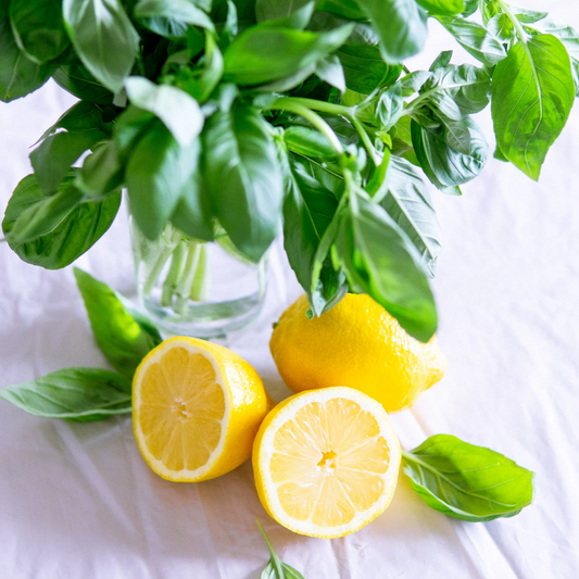 Lemon Basil Sugar Scrub