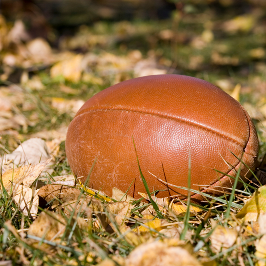 Football Season Soap Bar