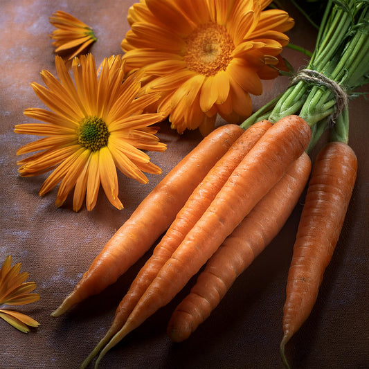 Carrot Calendula Soap Bar