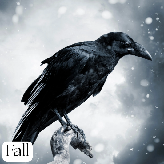Raven Soap Bar