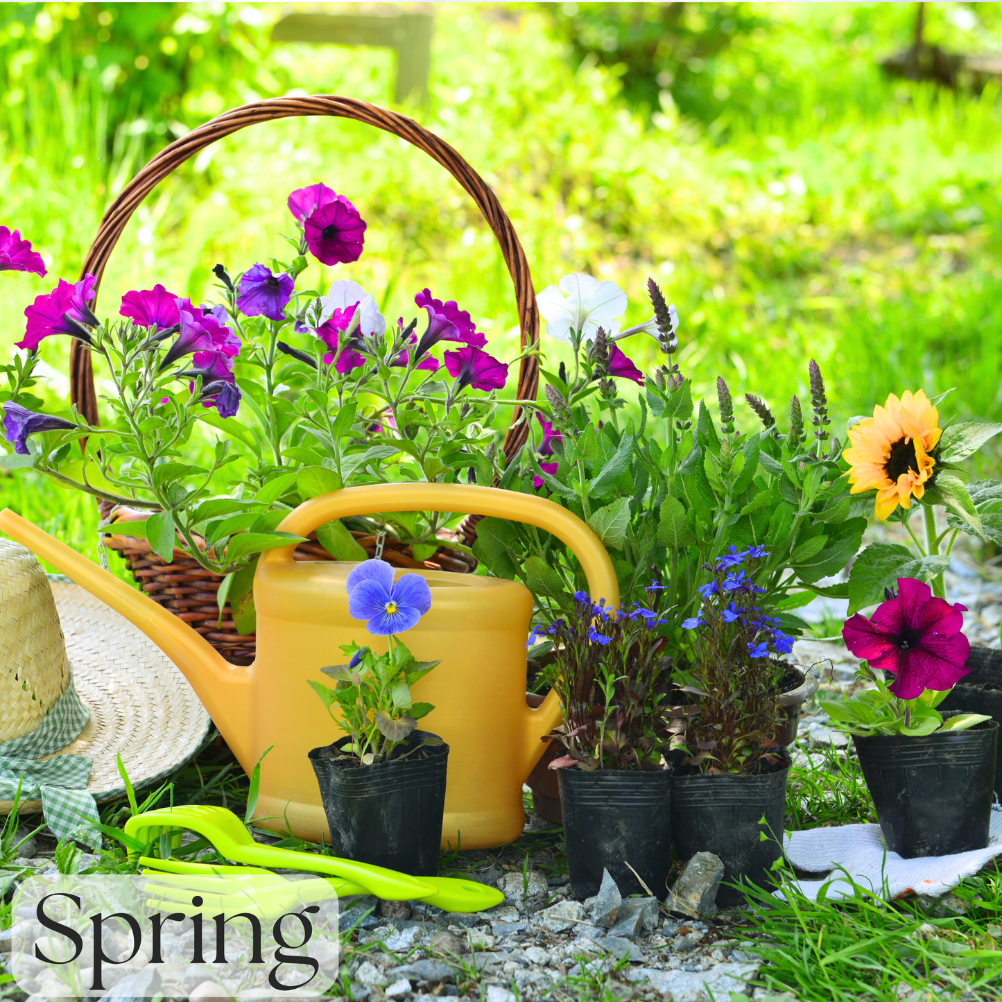 Spring Garden Soap Bar