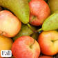Fall Harvest Sugar Scrub
