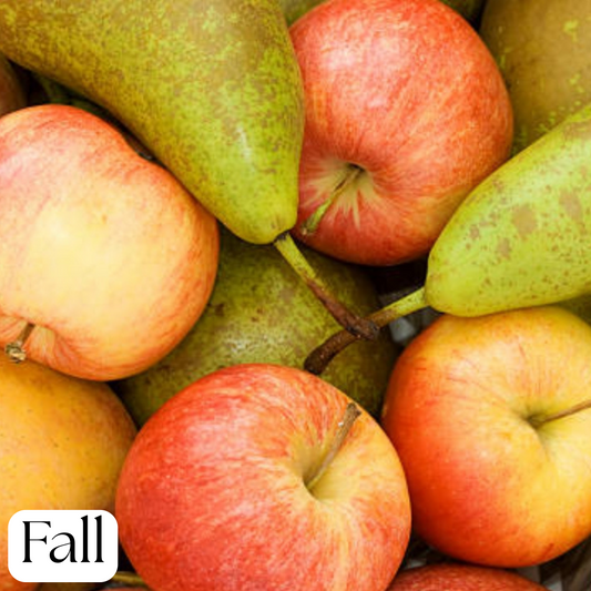Fall Harvest Soap Bar