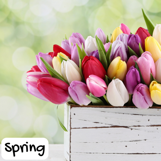 Fresh Cut Tulips Soap Bar
