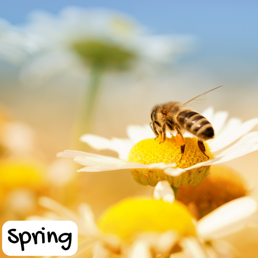 Honeybee Blossoms Soap Bar