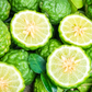 Bergamot Gentle Cleansing Oil