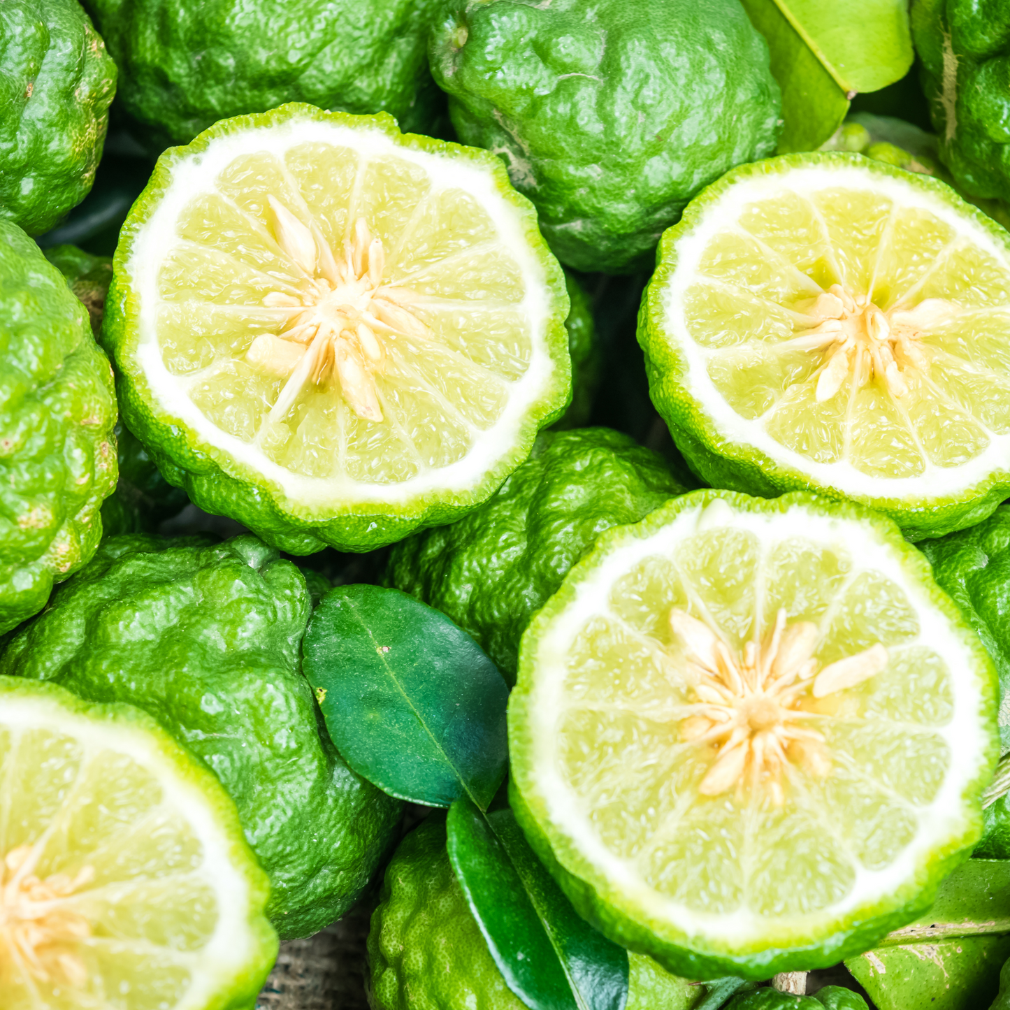 Bergamot Gentle Cleansing Oil