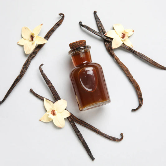 Vanilla Bean Luxe Botanical Body Oil