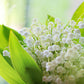 Lily of the Valley Bath Salt