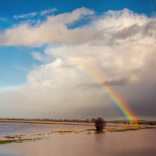 Rainbow After the Storm Soap Bar