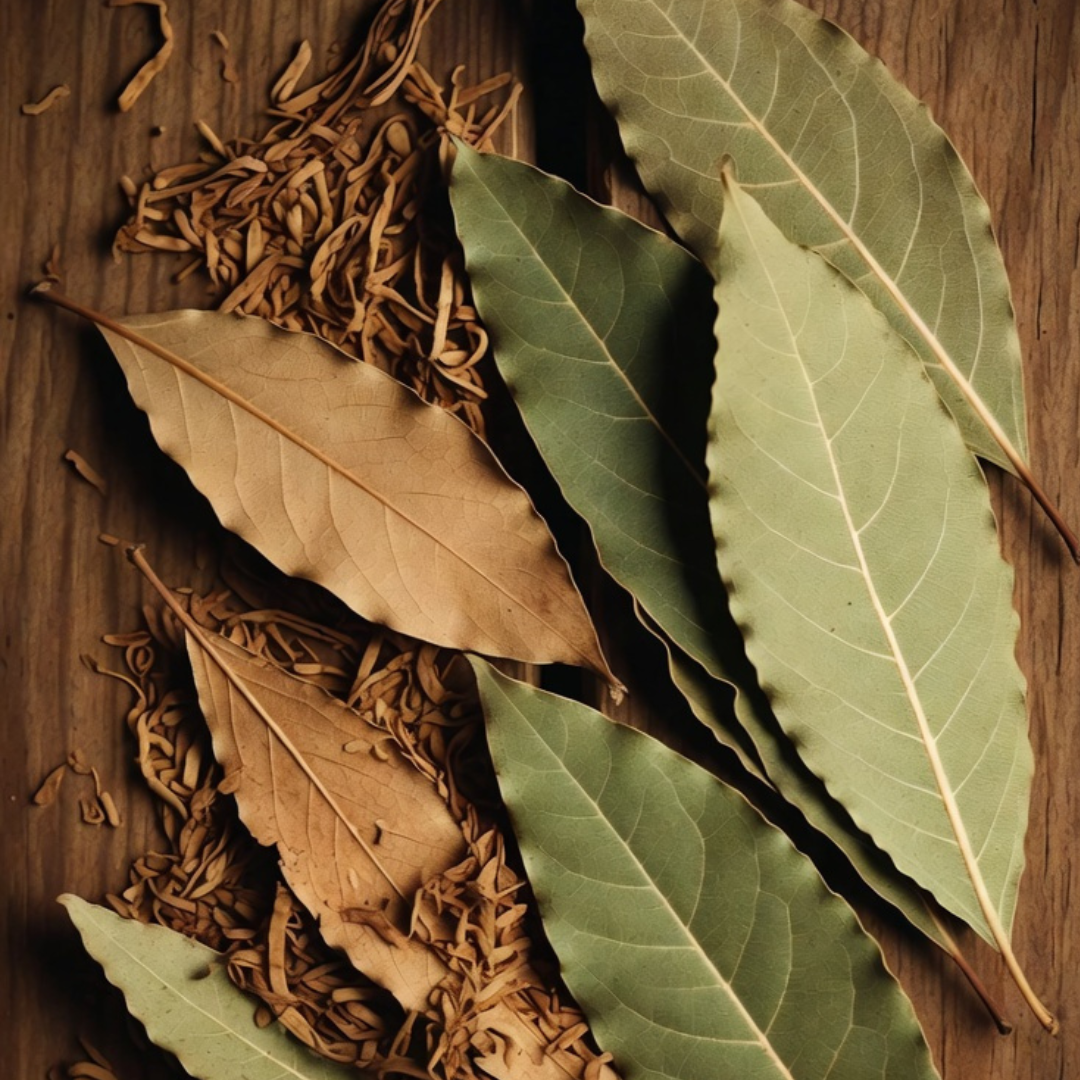 Tobacco & Bay Leaf Body Cream