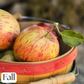 Orchard Apple Body Cream