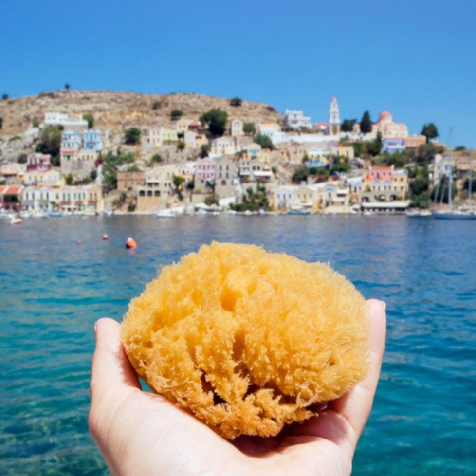 Natural Dead Sea Sponge