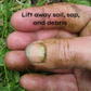 Green Thumb Hand Soap Bar