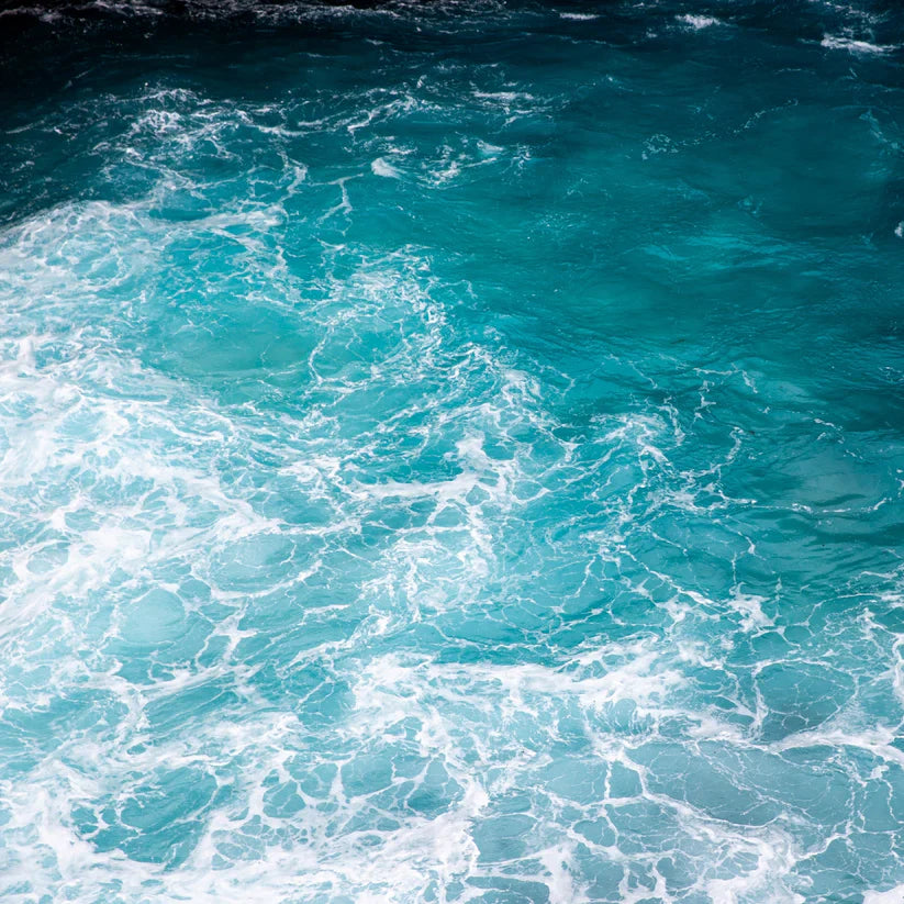 Teal Waters Luxe Botanical Body Oil