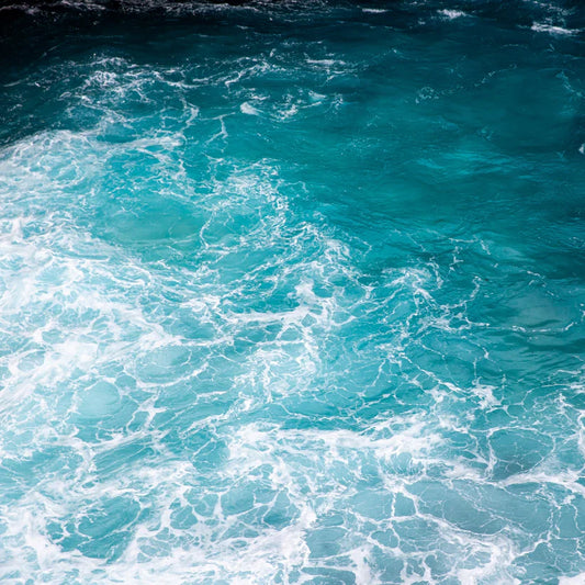 Teal Waters Luxe Botanical Body Oil